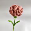2025 Nuevo Ramo de Claveles Tejido a Crochet Ramo Simulado Personalizable Flor Eterna Tejido a Mano Stock Disponible
