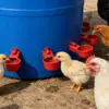 Nuevo Bebedero Automático para Aves de Corral para Patos, Gansos y Pollos; Bebedero Especial para la Cría de Palomas y Pollos