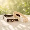 Set de Collar y Correa para Gato y Perro de Color Sólido de PVC, Set de Dos Piezas Impermeable y Resistente a la Suciedad para Mascotas, Personalizable desde la Fábrica de Origen