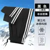 Pantalones escolares juveniles de primavera y otoño en azul marino, pantalones deportivos casuales de pierna recta, holgados y versátiles para estudiantes de secundaria y preparatoria