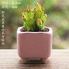 Vaso de Flor Carnuda Cerâmica Jardinagem Cerâmica Mini Novo Criativo Grés Casa Vintage Novo Vaso de Porcelana Vaso