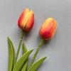 Tulipán hidratante de PU de imitación, flores artificiales húmedas de alta gama, adornos para el hogar, flores de simulación de boda de mano al por mayor