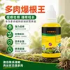 Estimulador de Raízes para Suculentas, Poderoso Agente de Enraizamento Rápido, Solução de Enraizamento para Estacas, Solução Nutritiva para Flores para Promoção e Fortalecimento das Raízes, Atacado