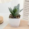 Mini Suculenta Verde Simulada Conjunto Pequeno Atacado Decoração de Casa Exibição de Entrada Plantas em Vasos Mais Vendidos na Amazon
