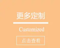 定制