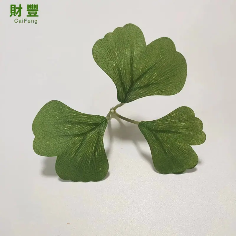 绿三叉银杏叶).jpg