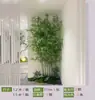 Nueva Decoración de Paisajismo de Bambú Estilo Chino Muebles Blandos para Interiores Pantalla Divisoria de Plantas Verdes Bambú Falso Encriptado Zen