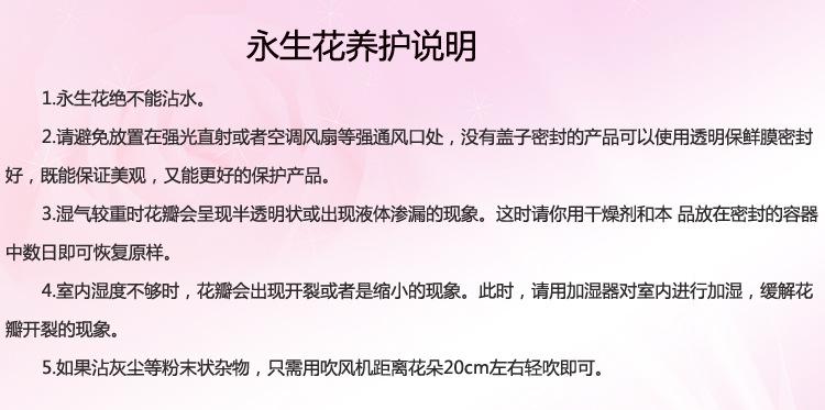 永生花养护说明