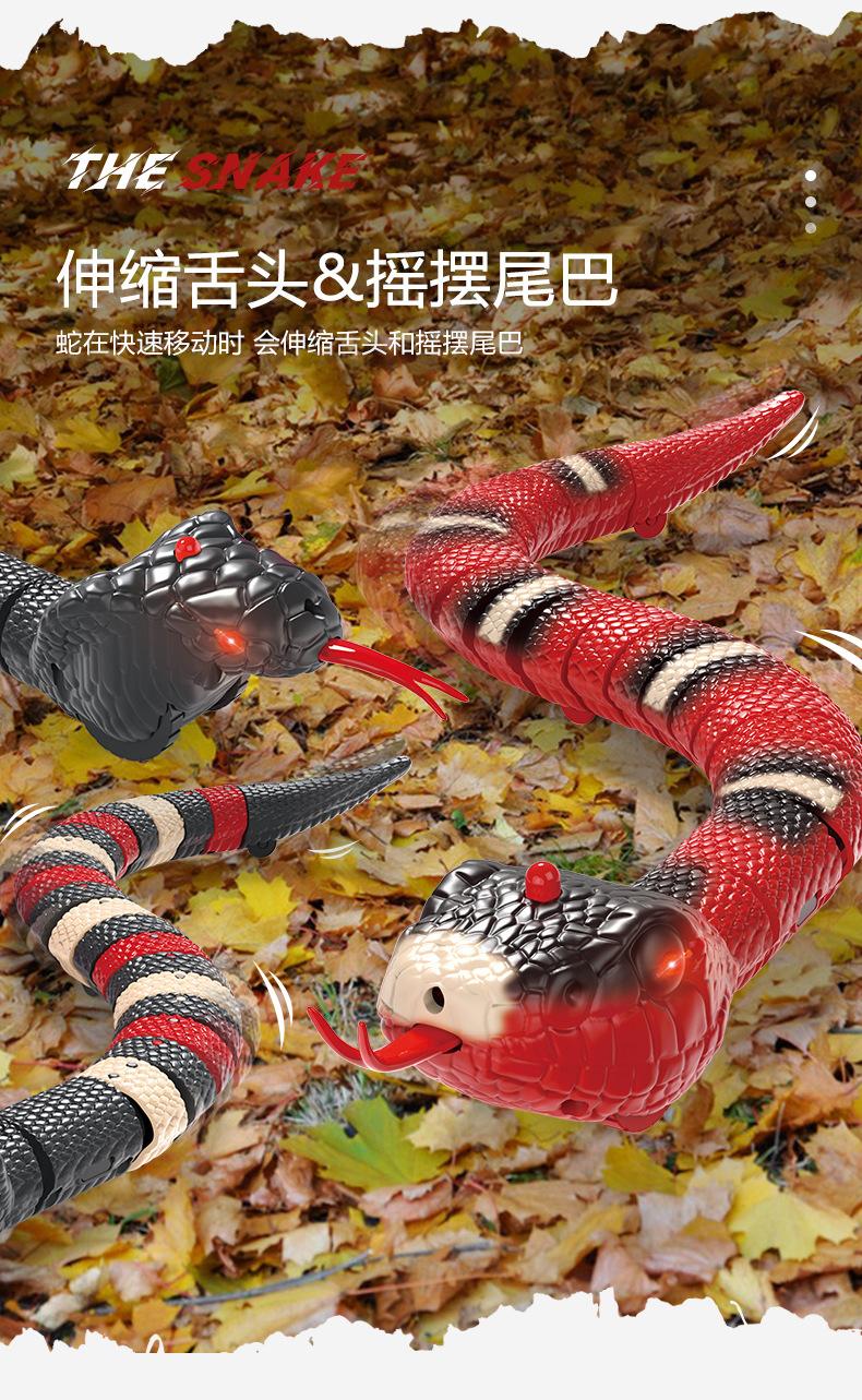 遥控蛇_06.jpg