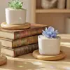 Regalos creativos: Plantas suculentas artificiales de vidrio Zibo en maceta, manualidades de vidrio, decoraciones de escritorio estilo ins al por mayor