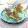Decoração de Apresentação Flor Sashimi Estilismo Planta Fresca Restaurante Frutos do Mar Empratamento Prato Frio Shou