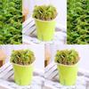 Atrapamoscas en maceta para uso en interiores en verano y otoño, Repelente de mosquitos, Atrapa moscas, Planta insectívora, Plántula grande, Planta verde, Insectívora