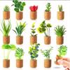 Amazon Planta Artificial Suculenta Imán de Corcho Imán de Refrigerador Decoración del Hogar Estilo Pastoral Suculenta Creativa Atracción Magnética