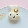 Venta al por mayor de fábrica Peluche Relleno de Algodón Conejo DIY Accesorios para Joyería de Resina Funda para Teléfono Móvil Parche Agujero Accesorios para Zapatos Flores para Zapatos