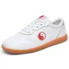 Zapatos para Hombre de Cuero Genuino Blanco Antideslizantes Zapatos de Tai Chi Suave Piel de Vaca Suela de Tendón Temporada Primavera Otoño para Mujer Zapatos de Práctica de Artes Marciales Tai Chi