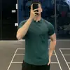Camisa polo de punto de manga corta con cuello en V para hombre, cuello de gaviota, estilo de negocios británico, camiseta de seda helada de verano, venta al por mayor transfronteriza de moda
