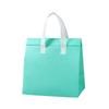 Bolsa Térmica para Milk Tea, para Copo Único, para Copo Duplo, Bolsa Térmica de Alumínio para Levar, Bolsa para Entrega de Café, Tecido Não Tecido Selado a Quente