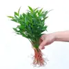 Bonsái Sala de Estar Mesa de Café Fácil de Cuidar Flores Plantas Verdes Perennes Cuatro Estaciones Oficina Escritorio Interior Plantas Purificadoras de Aire