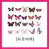 Pegatinas de mariposas de PET materiales de decoración para diario DIY transparentes de dibujos animados autoadhesivas pegatinas de paisajes para diario ins