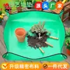 Tapete Impermeable Engrosado para Jardinería para Plantar Flores, Cambiar Tierra, Herramientas para Suculentas, Trasplantar, Tapete de Plantación, Tapete de Jardín Pe