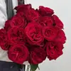 Plántulas de Flor de Rosa Roja Glory de una Pieza Envío Directo Rosas Florecientes Todo el Año Florales en Maceta Plantas Trepadoras Plántulas Plantas Verdes