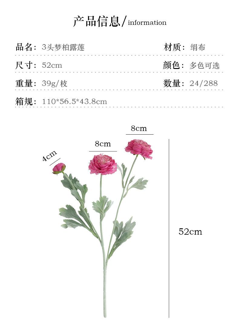 详情-15
