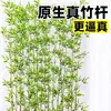 Nuevo Estilo Chino Plantas Verdes Artificiales Bambú Decoración de Paisajismo Interior Estilo Zen Pantalla Divisoria Combinación de Paisaje Adornos Biomorfos