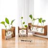 Vaso de Vidro com Moldura de Madeira Criativa Suporte Decorativo para Plantas Verdes Hidropônicas de Mesa Decoração de Casa Artesanato para Arranjo de Plantas e Flores