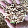 Astrágalo de Gansu Rodajas Verticales Grandes Silvestres Astrágalo Premium en Rodajas Oblicuas Rodajas Redondas de Astrágalo Té de Astrágalo Remojado en Agua Sopa Beiqi