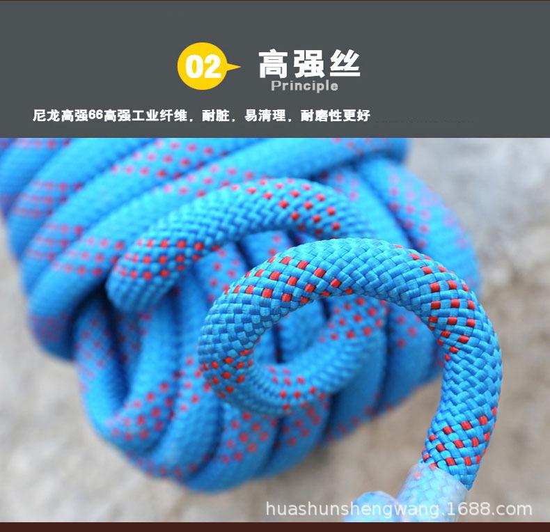 详情6