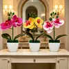 Mini 3 orquídeas artificiales Phalaenopsis en macetas aterciopeladas, suministro de exportación directa, flores artificiales de tacto realista, bonsái, accesorios para fotografía