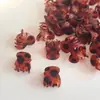 Mini Prendedor Quadrado Pequeno para Cabelo Prendedor Inferior para Cabelo Grampo de Cabelo DIY Grampo para Franja Cabelo Quebrado Acessórios de Cabelo Artesanais em PC Acessórios de Cabelo Transfronteiriços