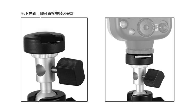 9573385535_2059421609