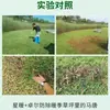 Ping'An Xingnuan Remove Cavalo, Burro, Tendão de Boi, Beldroega, Água, Amendoim, Erva Daninha, Grama Bermuda das Filipinas Herbicida para Gramado de Estação Quente