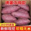 Auténtica Batata Morada Dulce de Cristal Suave Batata Violeta Arenosa Fresca Batata de Miel de Castaña de Temporada Batata Ahumada Batata Pequeña