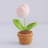 Planta Pequeña Tejida a Crochet Transfronteriza Hilo Tejido a Mano Tulipan Adorno Mini Escritorio Artificial Ramo de Flores en Maceta