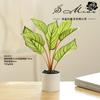 Flores Artificiales al por Mayor, Plantas Verdes, Bonsái, Flores Falsas Creativas para Interiores, Fabricante de Dropshipping, Plantas Artificiales, Plantas Artificiales en Maceta