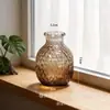 Vaso de Vidro Sódio-Cálcio Personalizado Transfronteiriço, Pote de Armazenamento, Estilo de Padrão em Malha de Luxo Leve, Decoração de Sala de Estar, Armazenamento de Vaso de Flores Estilo Europeu