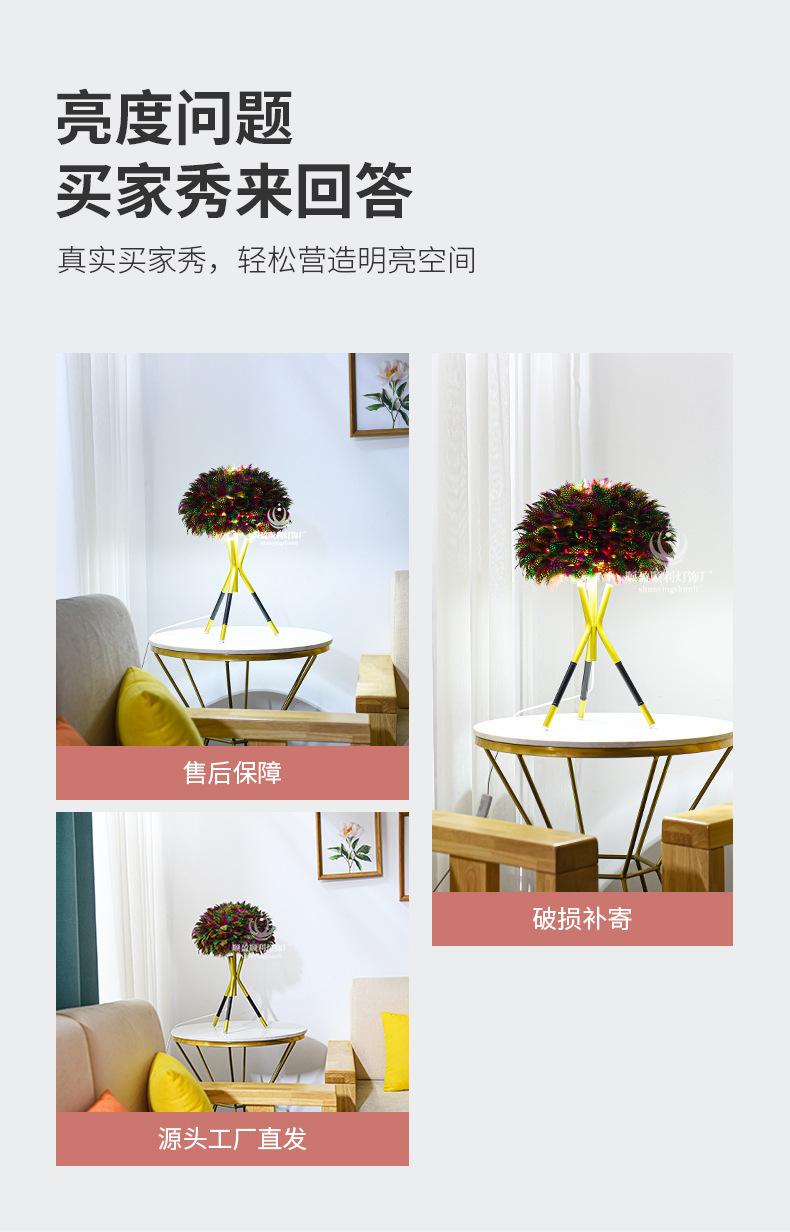 描述图_5.jpg