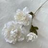 Ponto Branco Leitoso Simulado Casamento Flor de Seda Casamento Salão Hotel Decoração de Teto Material de Flor Buquê Arranjo Floral de Casamento