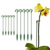 Soporte para flores de Phalaenopsis Varilla soporte para flores de hogar Soporte maceta con forma de flor Varilla de soporte fija anticaída