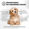 Fábrica Personalizada Pet Tesouras Profissionais para Grooming Ferramenta Especial de Limpeza e Aparo Conjunto Prata Todo Aço Dente Reto Tesouras Curvas