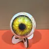 Nuevo Decoración de Ojo de Monstruo Hiperrealista Transfronteriza Manualidad de Ojo de Monstruo Realista