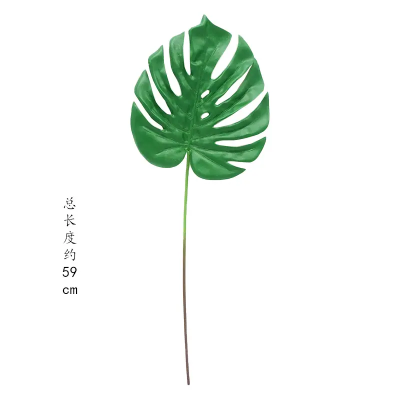 未标题-3_副本