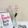 Producto Nuevo Transfronterizo 2 Tenedores 12 Orquídea Llama Decoración Floricultura de Mesa Arreglo Floral de Boda Set Suave de Centro Comercial Flor Artificial