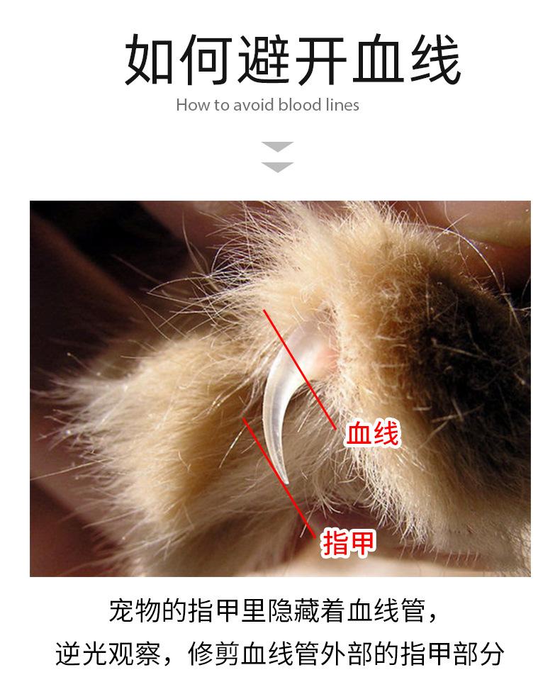 宠物剪五金件剪头（长尾刀头）_06.jpg