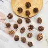 Lascas de Madeira de Pinha, Materiais de Casca de Fruta Seca de Bolota, Molduras para Espécimes de Plantas, Kits de Materiais de Flores Secas Artesanais DIY, Decorações de Exibição
