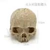 Aquário Tanque de Peixes Paisagismo Joias Casa de Reprodução Fuga Escalada Animal de Estimação Decoração Decoração de Halloween Crânio de Touro Conjunto de Horror