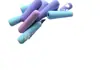 Capa de Guidão Tubo de Espuma Nbr Tubo de Espuma Eva Cobertura de Esponja Tubo de Espuma Pixel Isolamento Térmico Tubo de Ciclismo