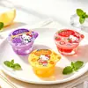 Nuevo Juguete de Comida en Miniatura ZhiZhiLang Gelatina Variada Realista Snack Casual Buster de Antojos Adorno de Resina